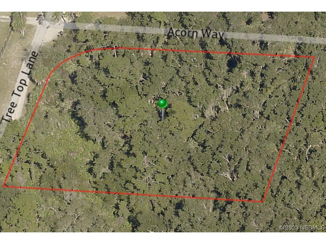 0 Tree Top Lane Edgewater FL 32141 NS1075549 image1