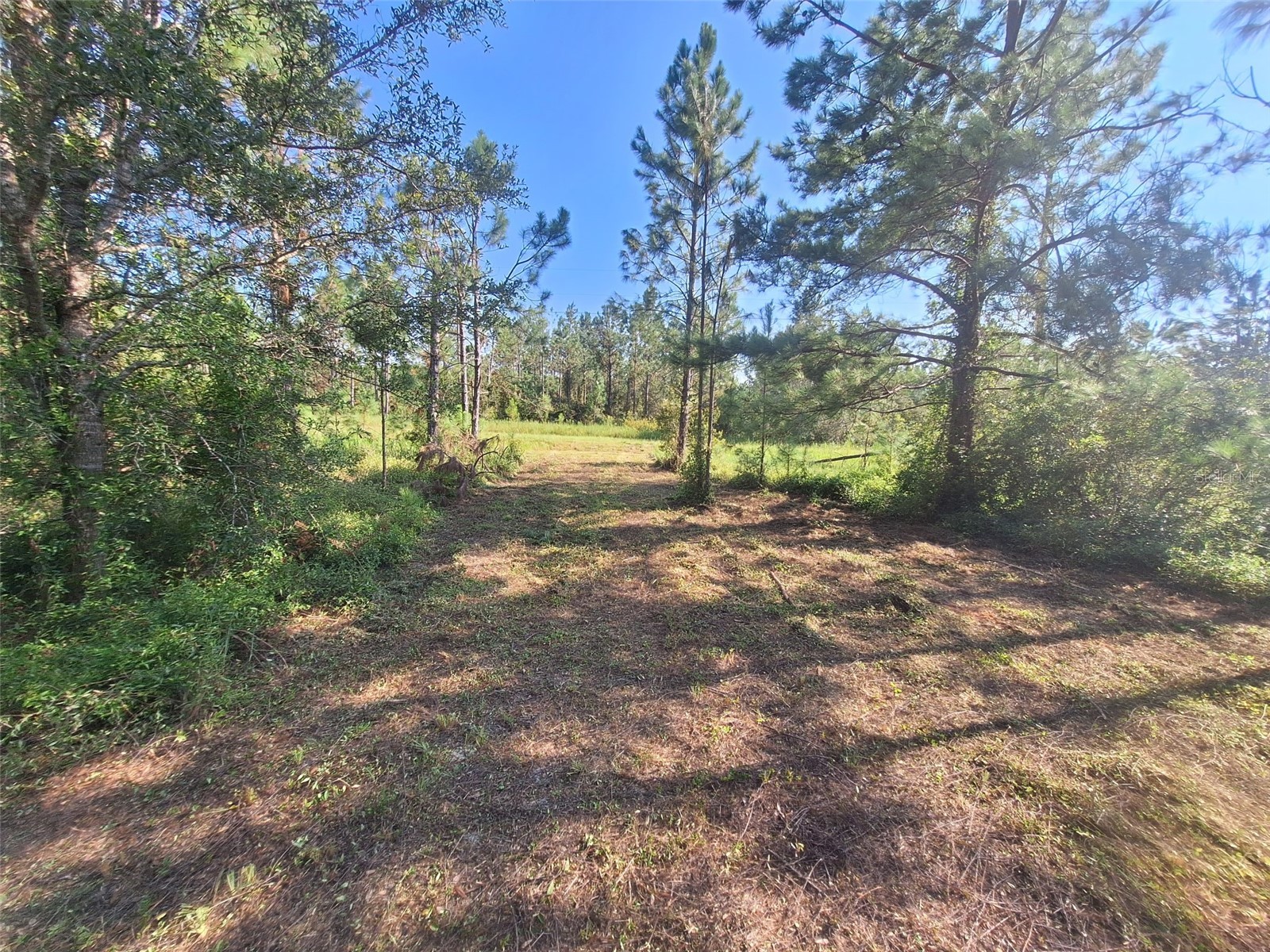 0 Unassigned Location Re Perry FL 32348 O6418465 image2