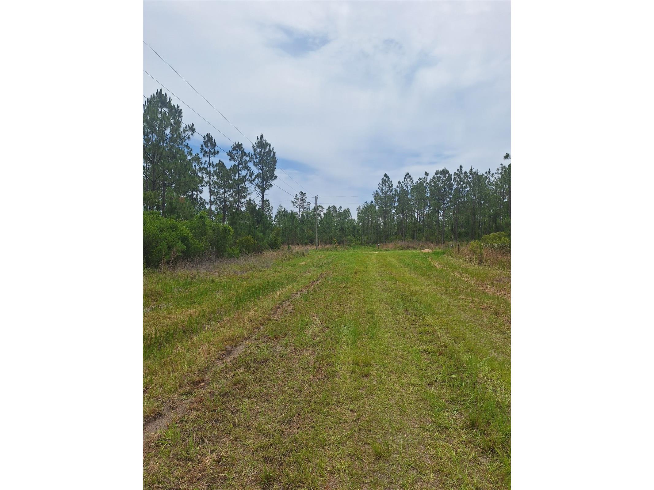 0 Unassigned Location Re Perry FL 32348 O6418465 image3