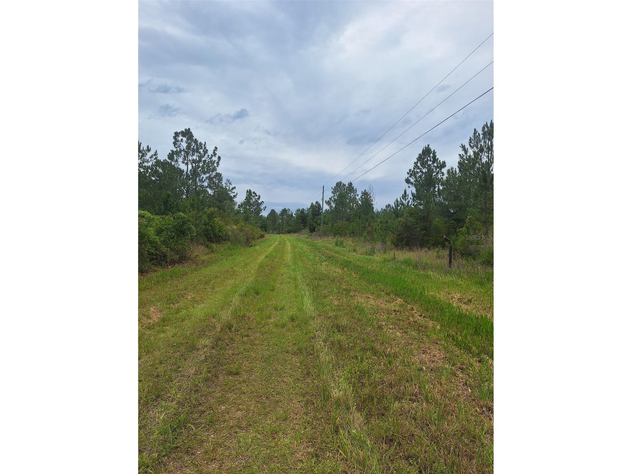 0 Unassigned Location Re Perry FL 32348 O6418465 image4