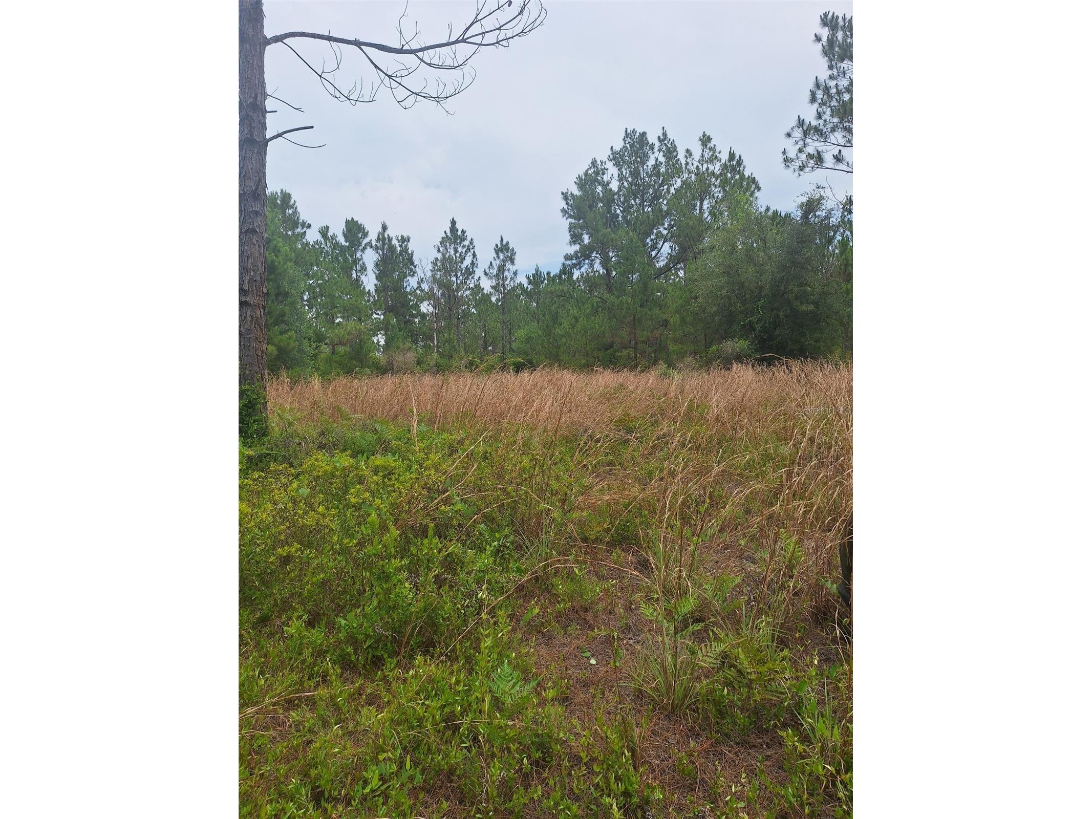 0 Unassigned Location Re Perry FL 32348 O6418465 image5