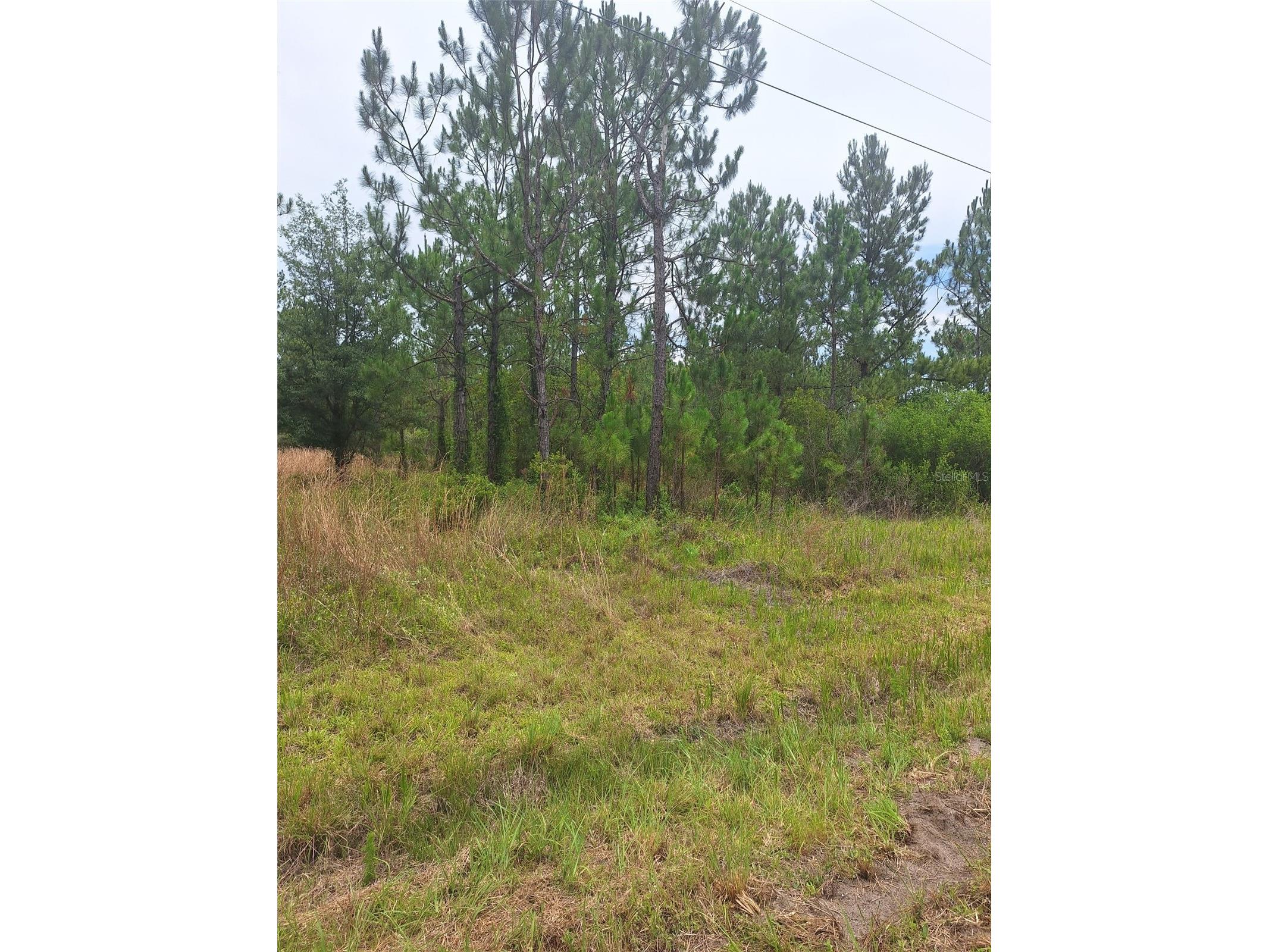 0 Unassigned Location Re Perry FL 32348 O6418465 image6