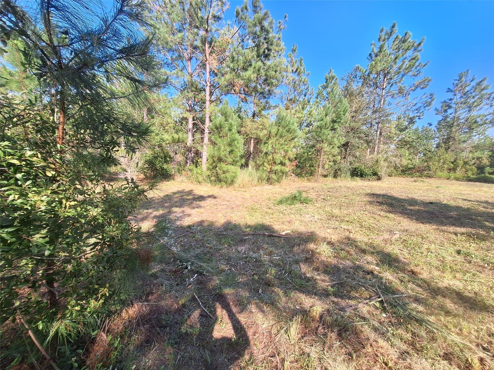 0 Unassigned Location Re Perry FL 32348 O6418465 image7