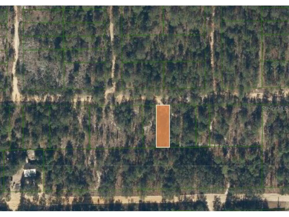 0 Unassigned Road Interlachen FL 32148 FC314080 image1