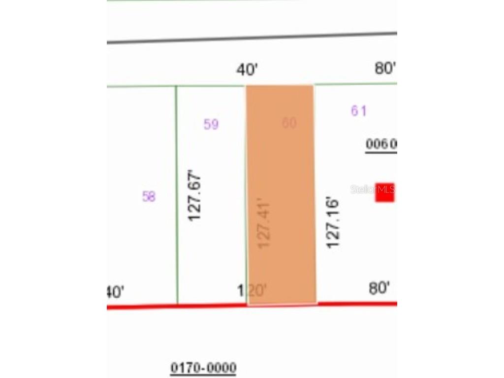 0 Unassigned Road Interlachen FL 32148 FC314080 image3