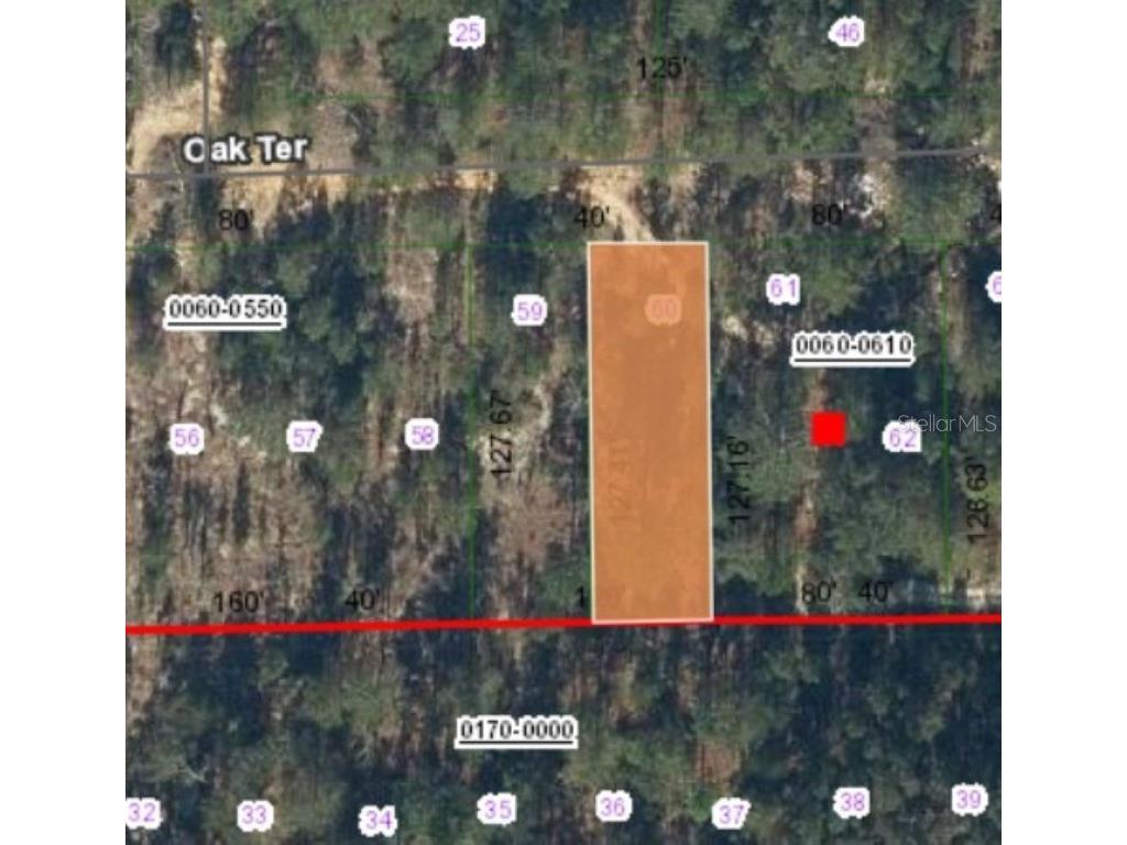 0 Unassigned Road Interlachen FL 32148 FC314080 image4