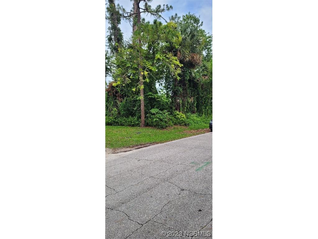 0 Unity Tree Dr Edgewater FL 32141 NS1075361 image1