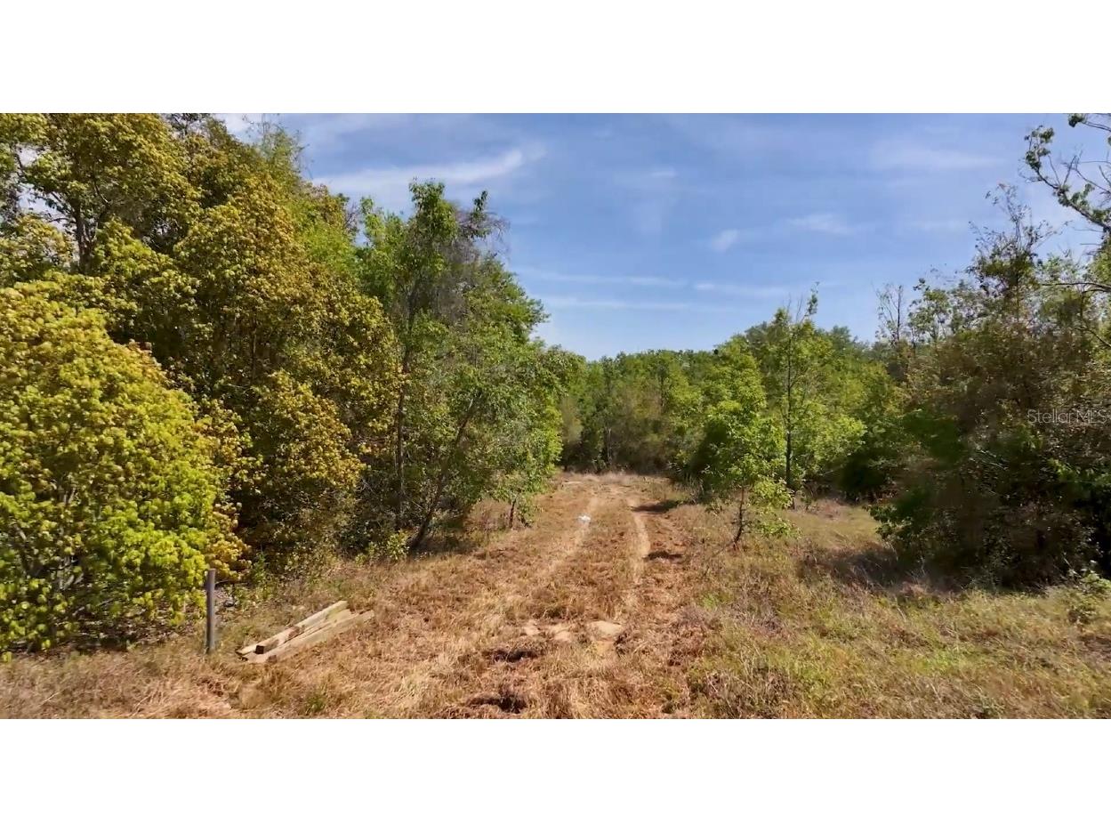 0 Us-27 Highway Clermont FL 34711 G5094648 image2