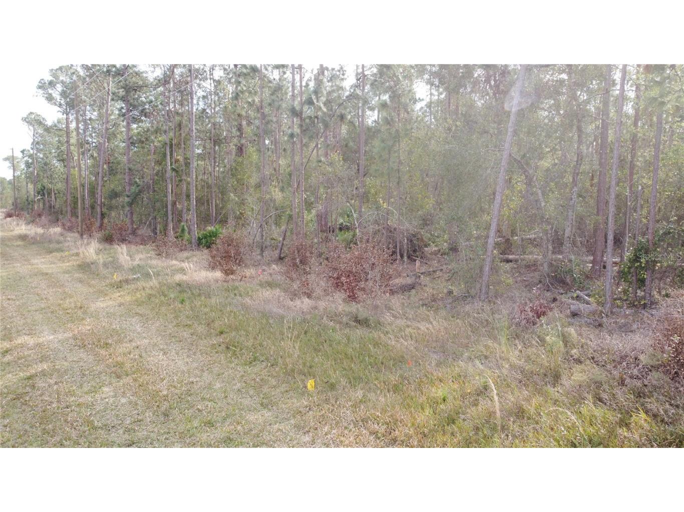 0 Us Hwy 27 Frostproof FL 33843 P4924216 image1