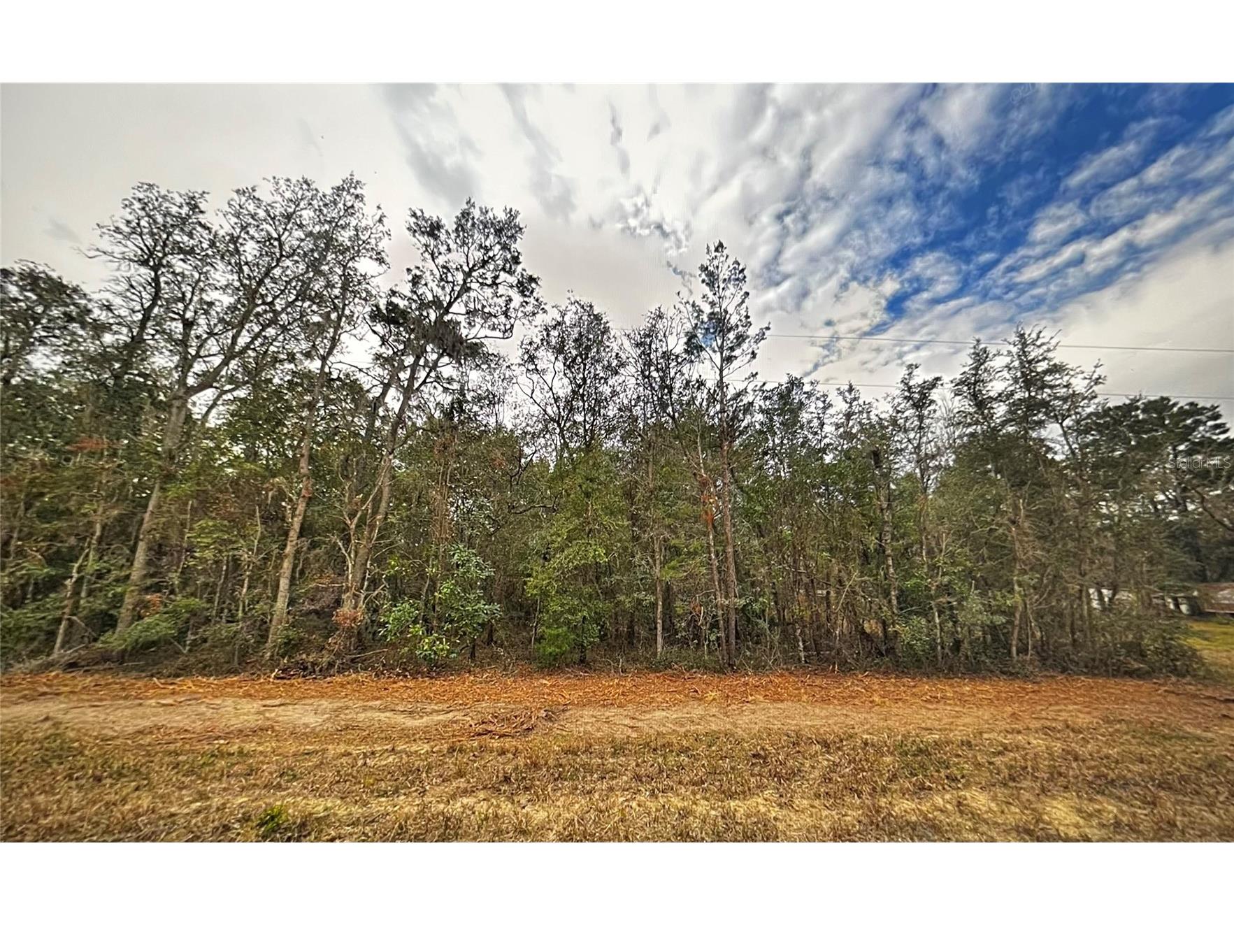 0 Usina Avenue Interlachen FL 32148 O6379234 image2