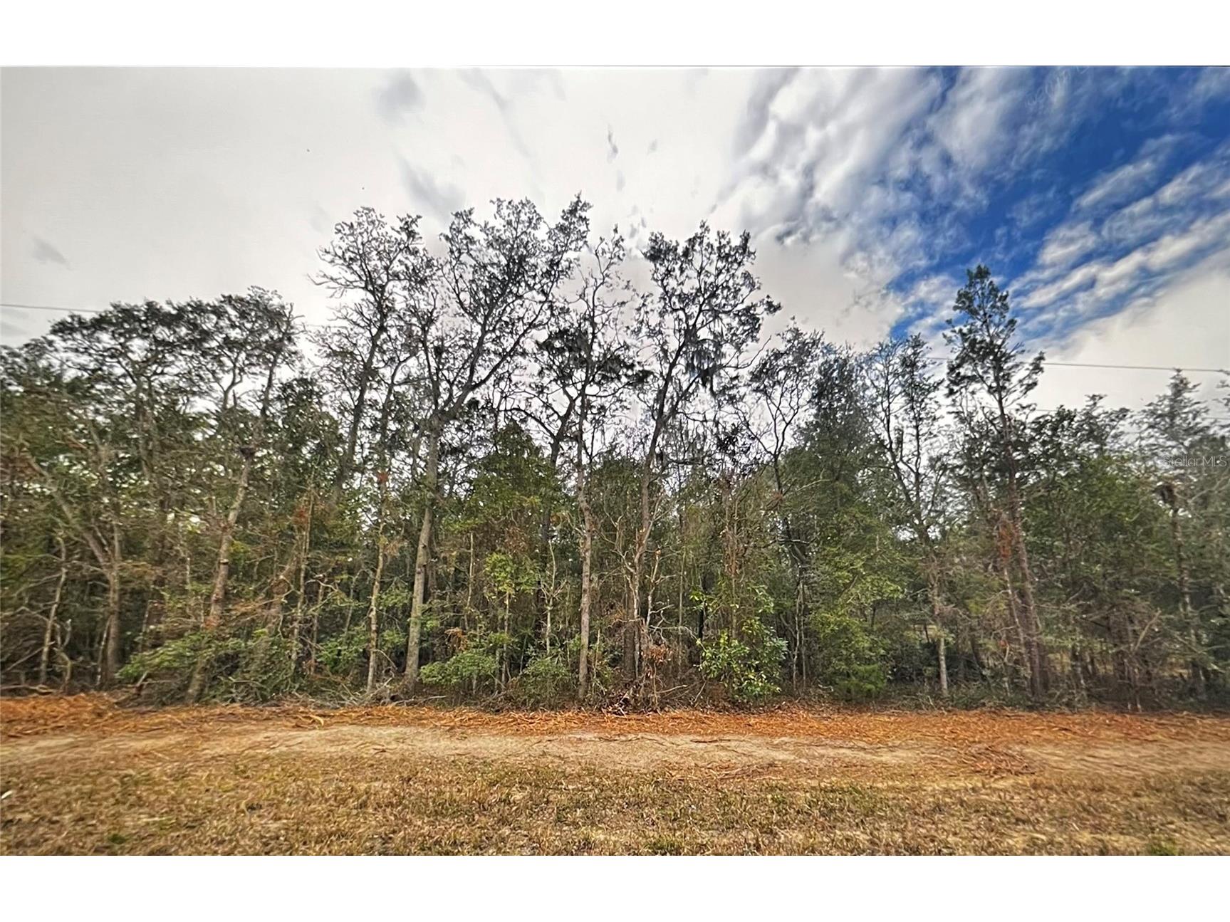 0 Usina Avenue Interlachen FL 32148 O6379234 image3
