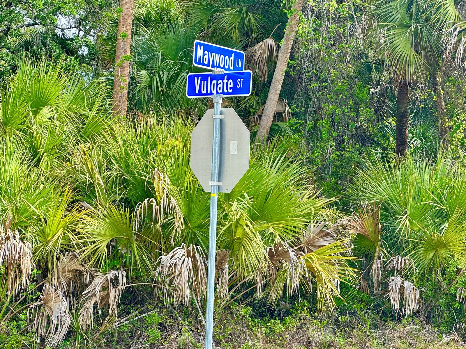 0 Vulgate Street North Port FL 34286 A4689334 image5