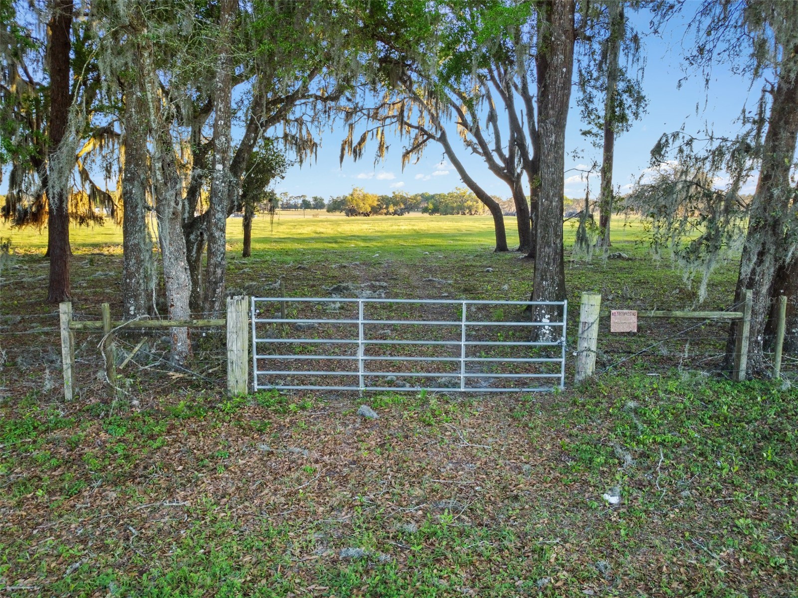 0 W Cr 476 Bushnell FL 33513 TB8488828 image3