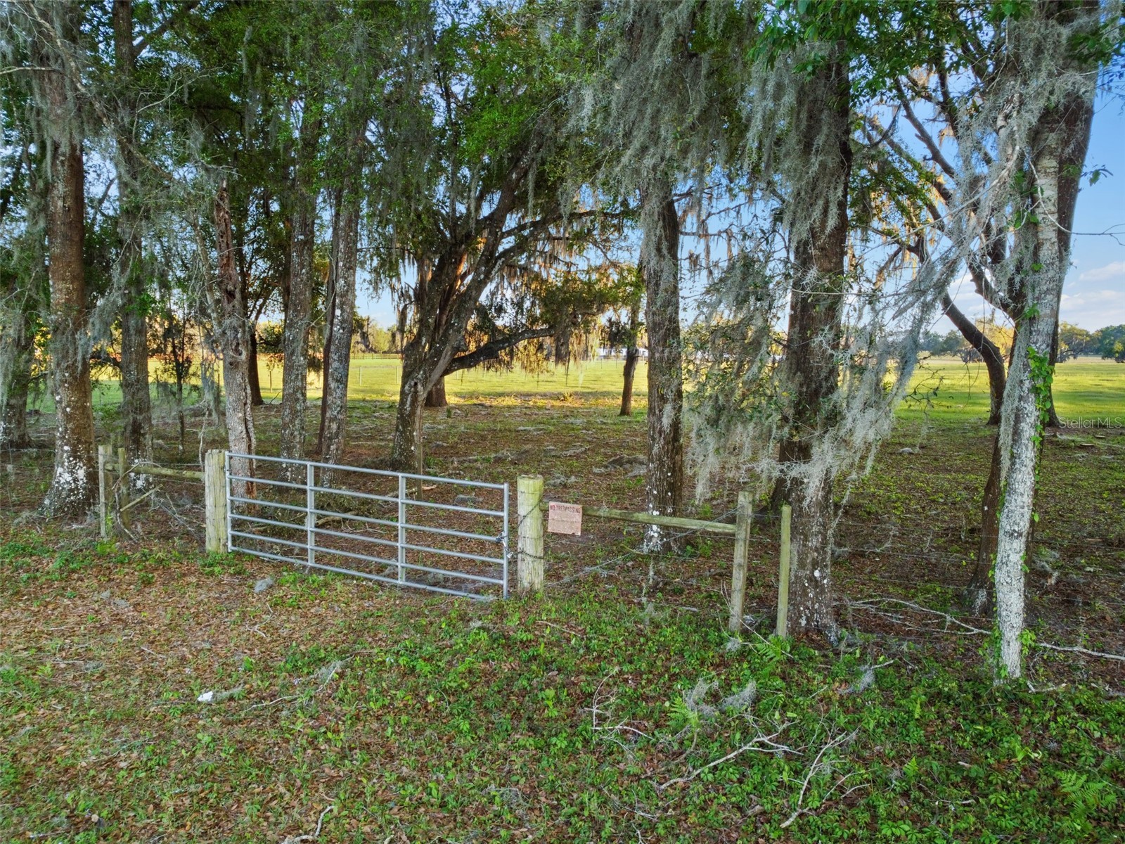 0 W Cr 476 Bushnell FL 33513 TB8488828 image8