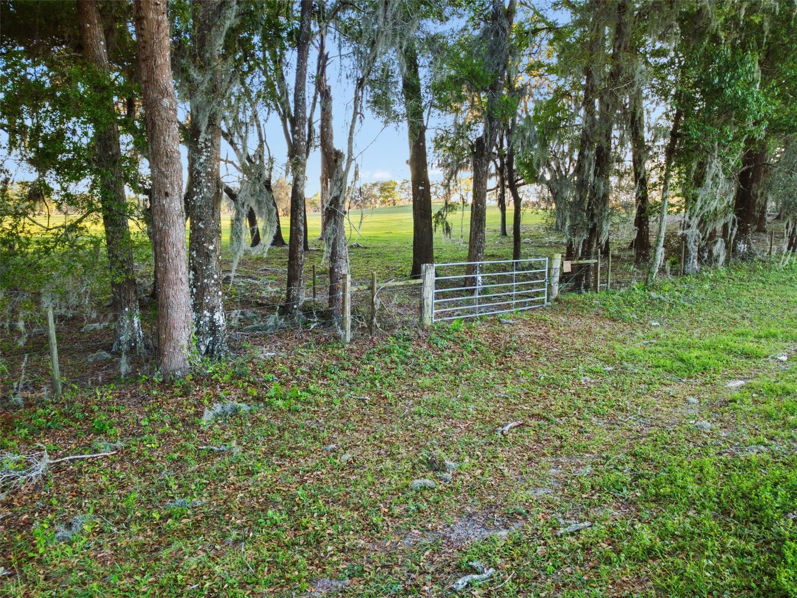 0 W Cr 476 Bushnell FL 33513 TB8488828 image9