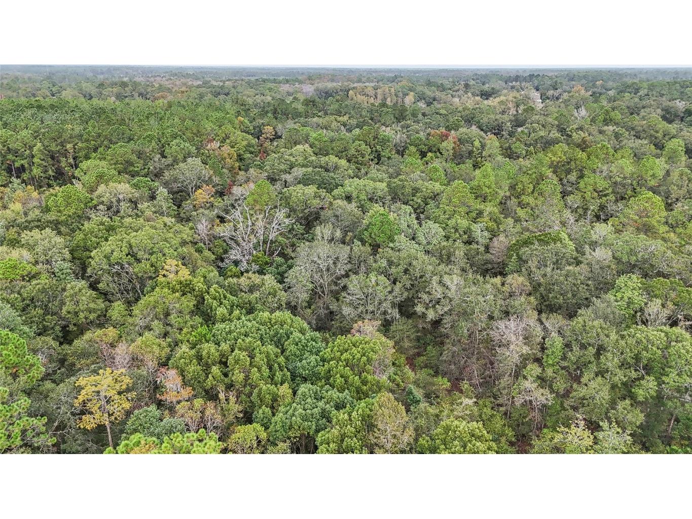 0 W Edwards Road Starke FL 32091 TB8445829 image8