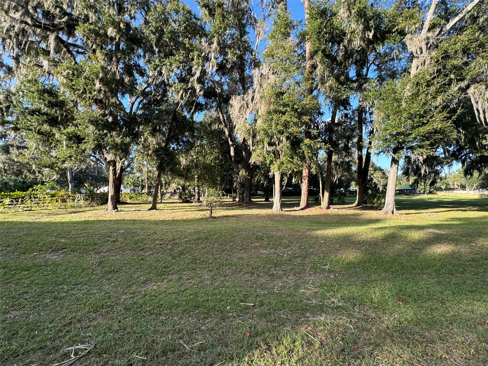 0 W Highway 318 Citra FL 32113 OM718125 image3