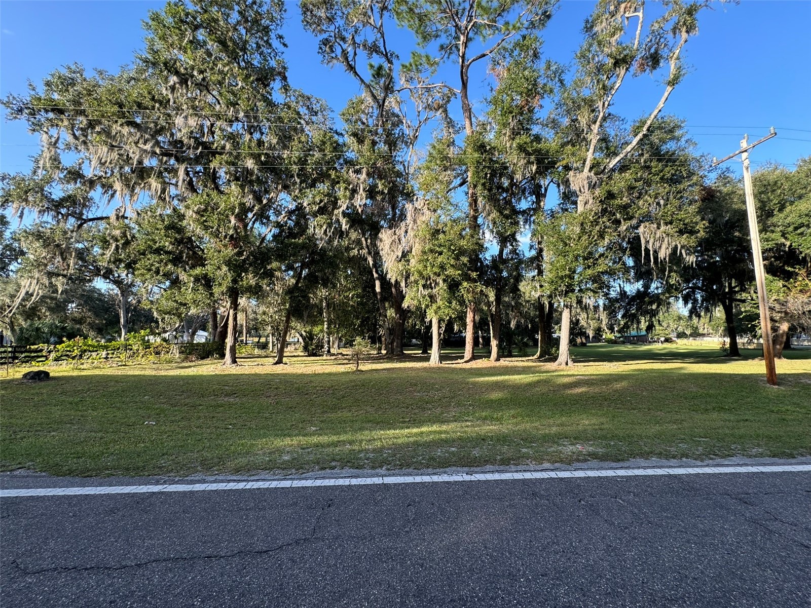 0 W Highway 318 Citra FL 32113 OM718125 image4