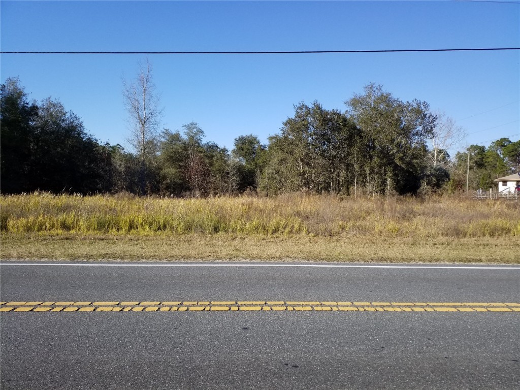 0 W Highway 40 Dunnellon FL 34432 OM659467 image1