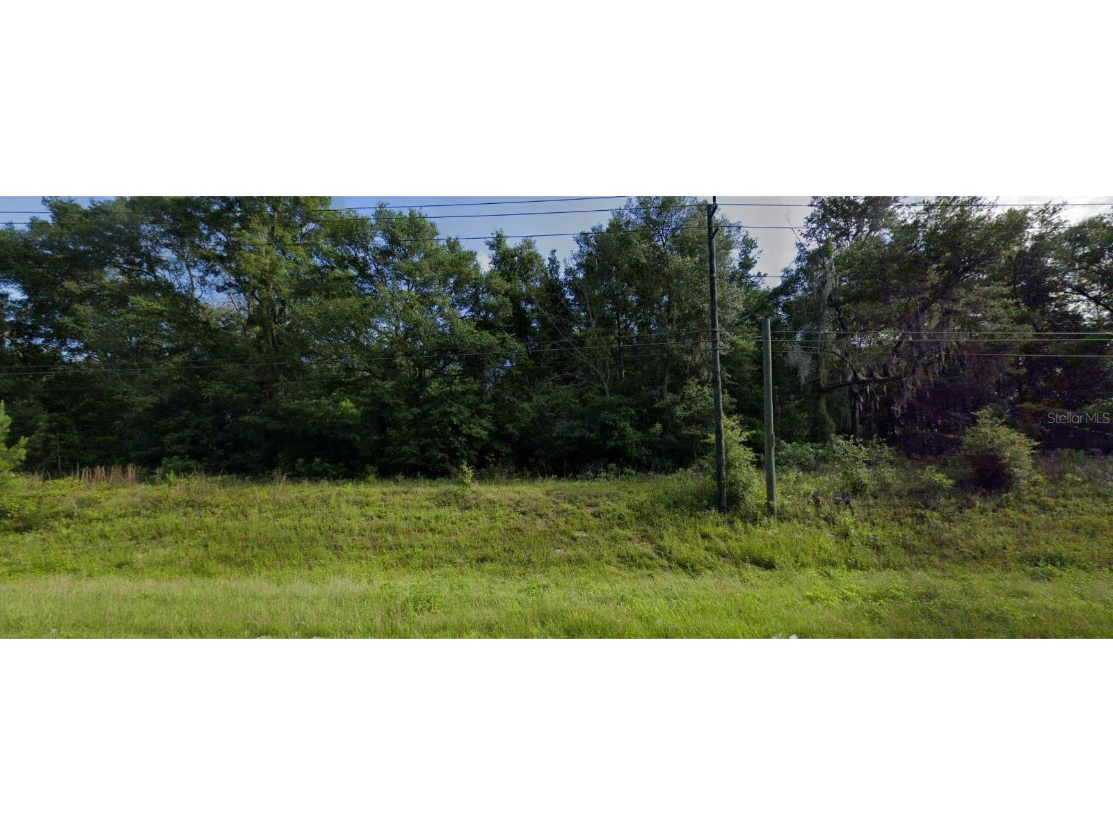 0 W Highway 90 Highway Lake City FL 32024 - LAKE LONA J962896 image1