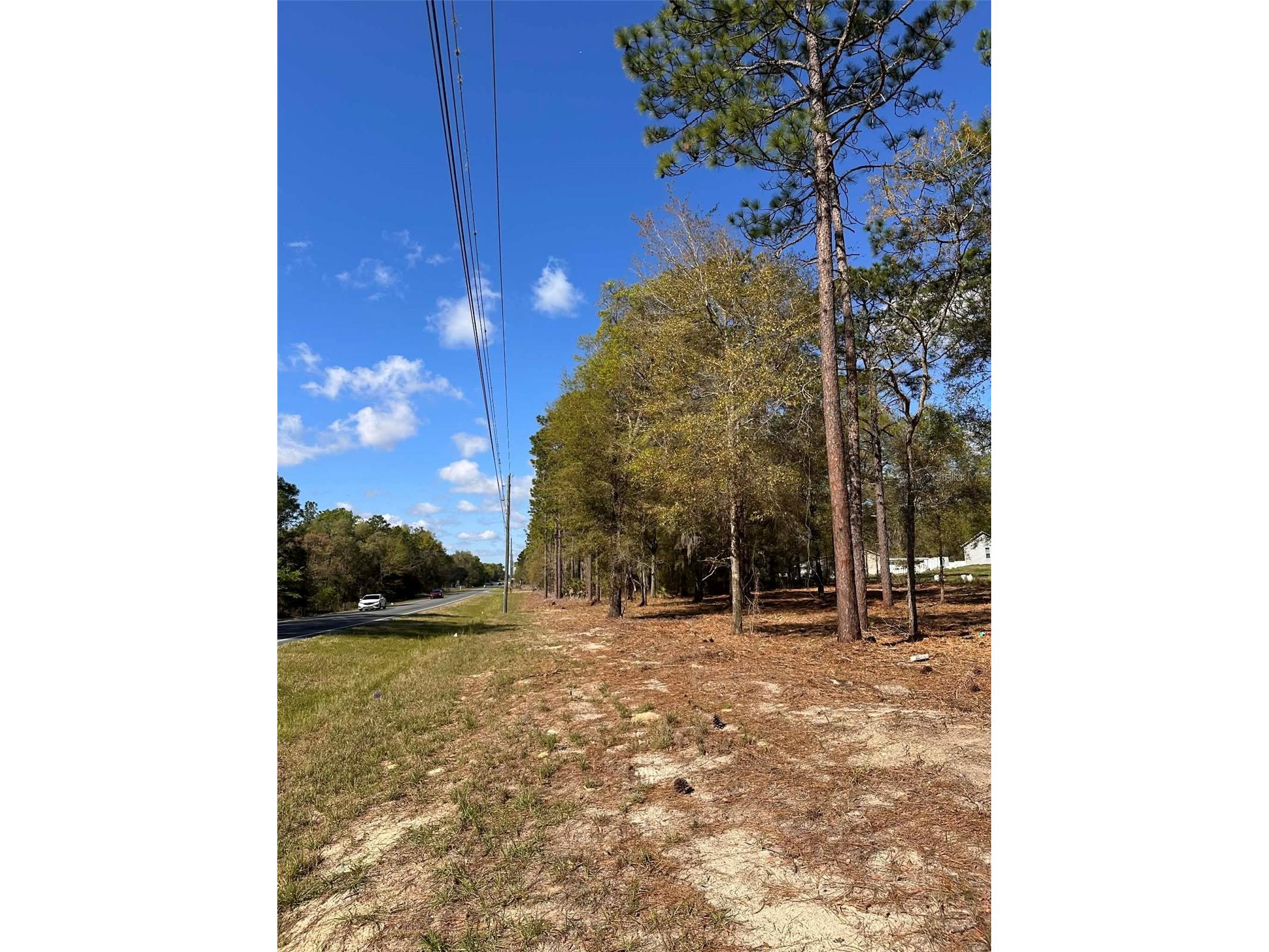 0 W Hwy 40 Ocala FL 34481 OM720378 image10