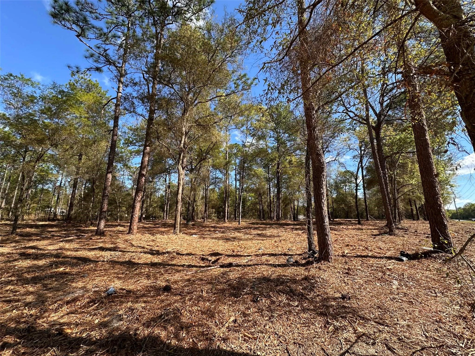 0 W Hwy 40 Ocala FL 34481 OM720378 image2