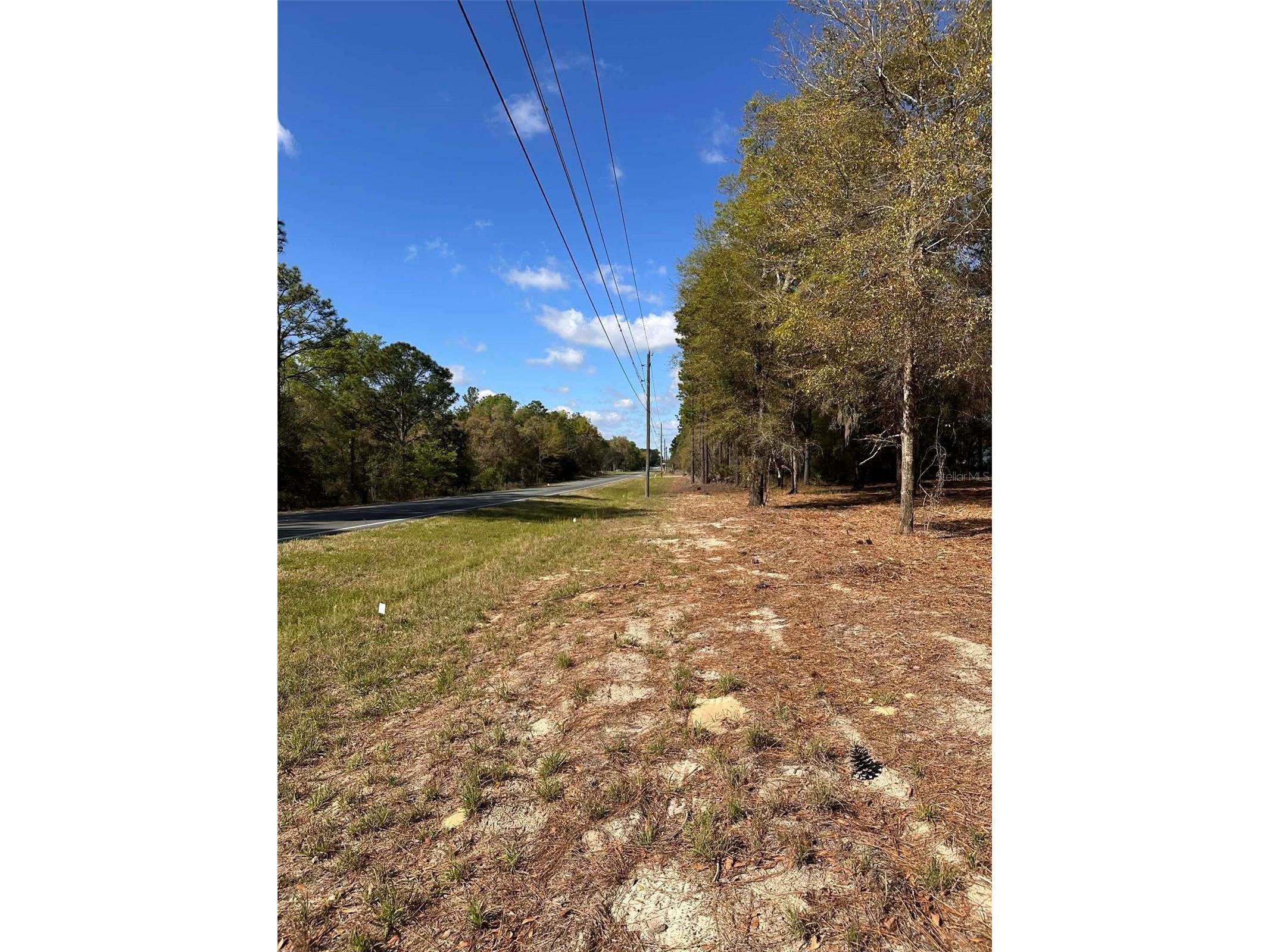 0 W Hwy 40 Ocala FL 34481 OM720378 image9