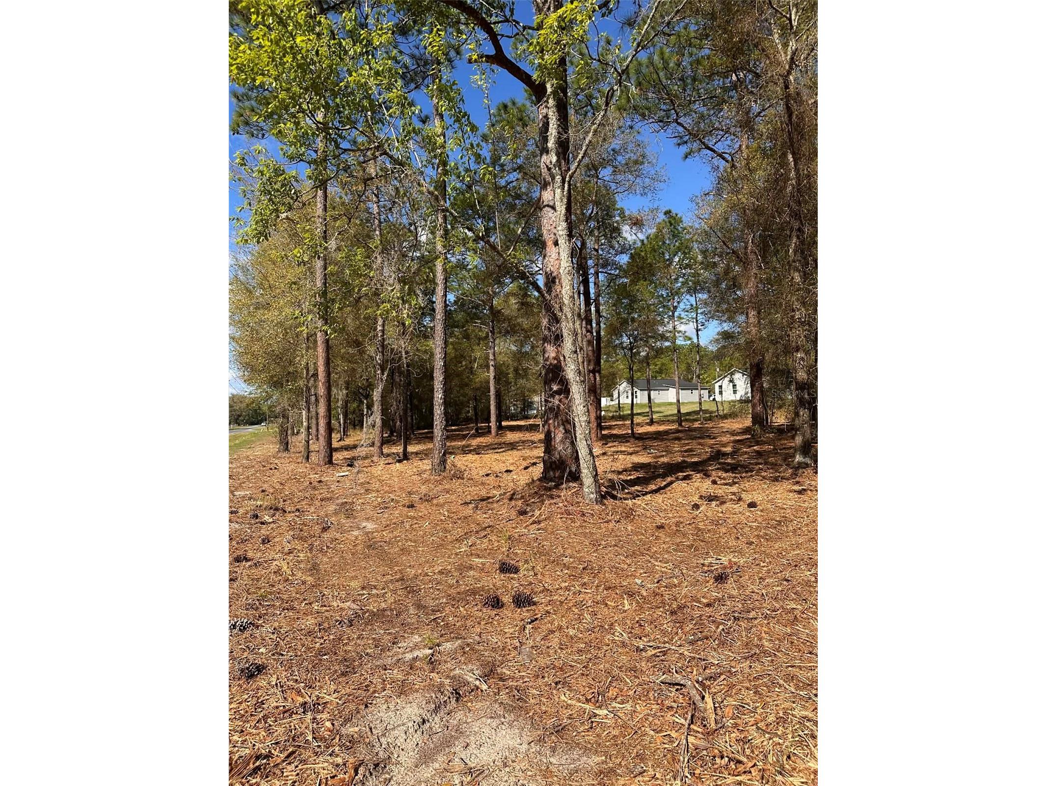 0 W Hwy 40 Ocala FL 34481 OM720380 image7