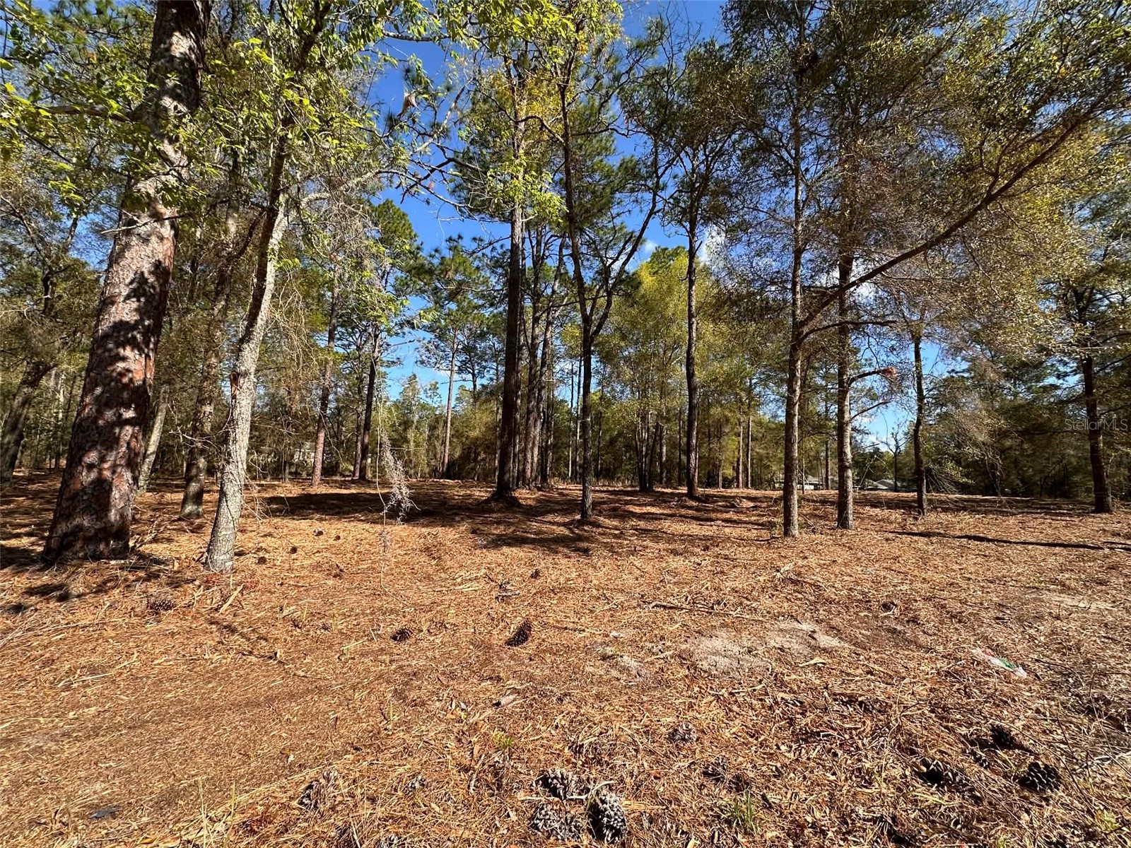 0 W Hwy 40 Ocala FL 34481 OM720383 image3