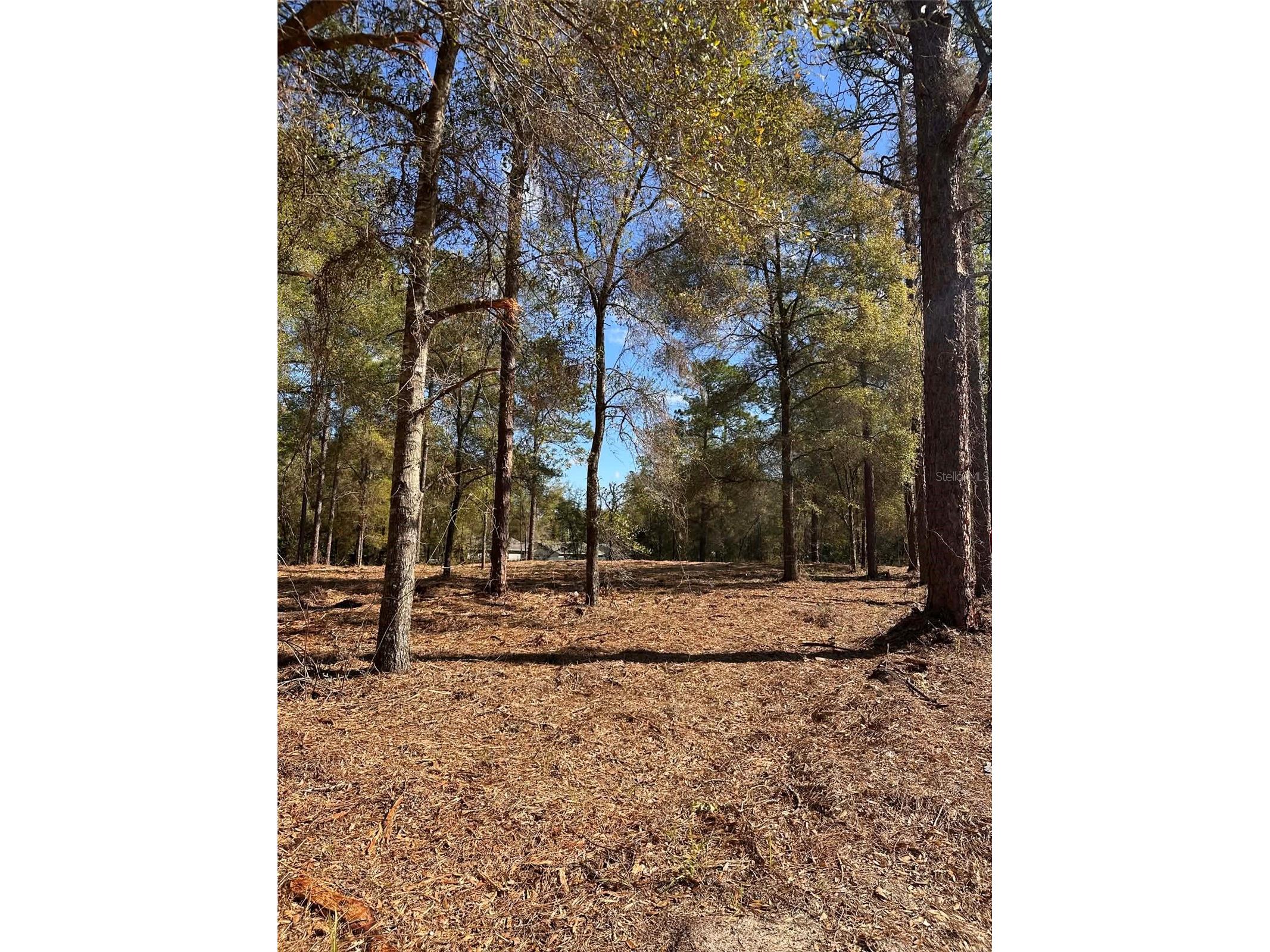 0 W Hwy 40 Ocala FL 34481 OM720384 image5