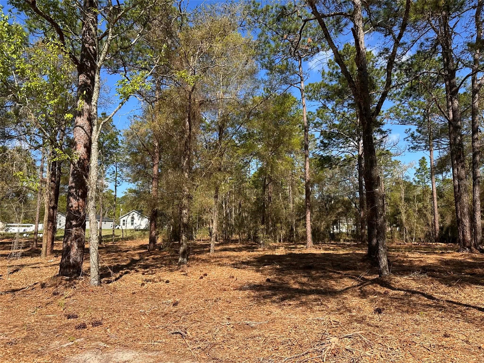 0 W Hwy 40 Ocala FL 34481 OM720387 image4
