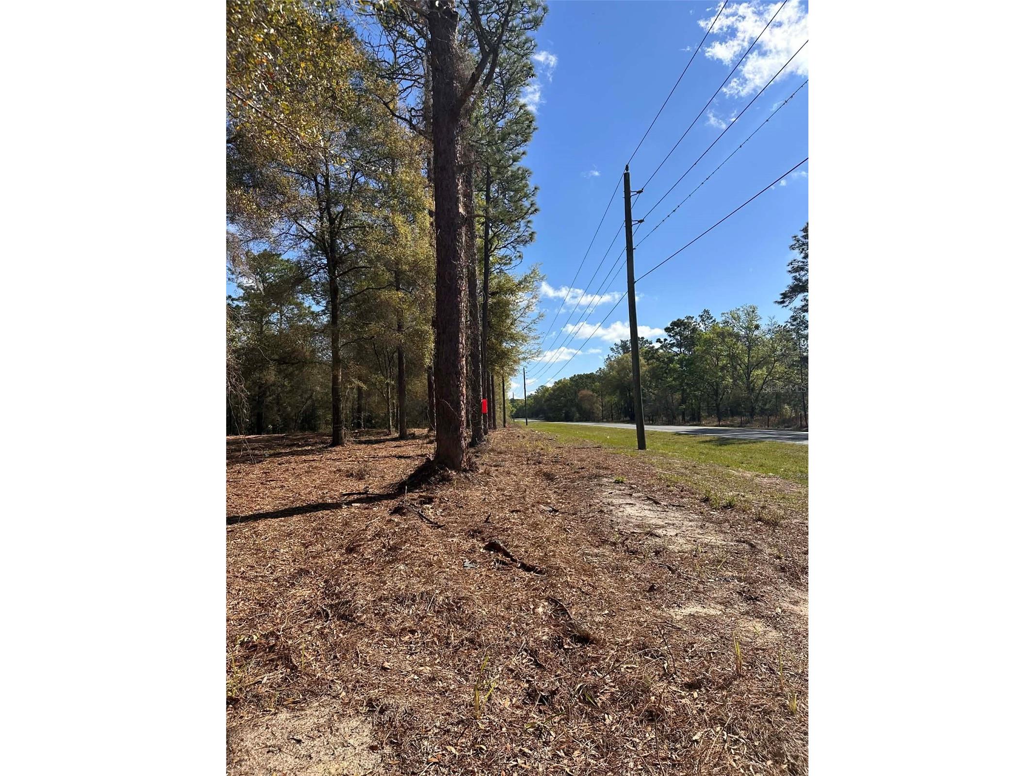0 W Hwy 40 Ocala FL 34481 OM720387 image8