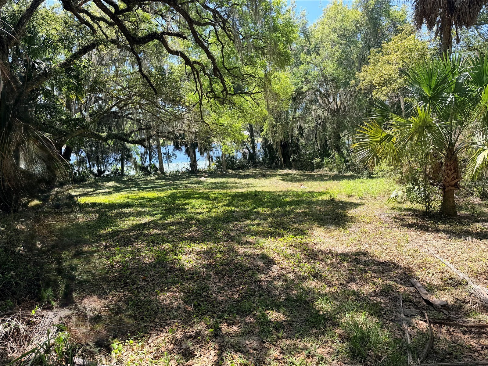 0 W Miller Street Fruitland Park FL 34731 - Fountain Lake G5109942 image1