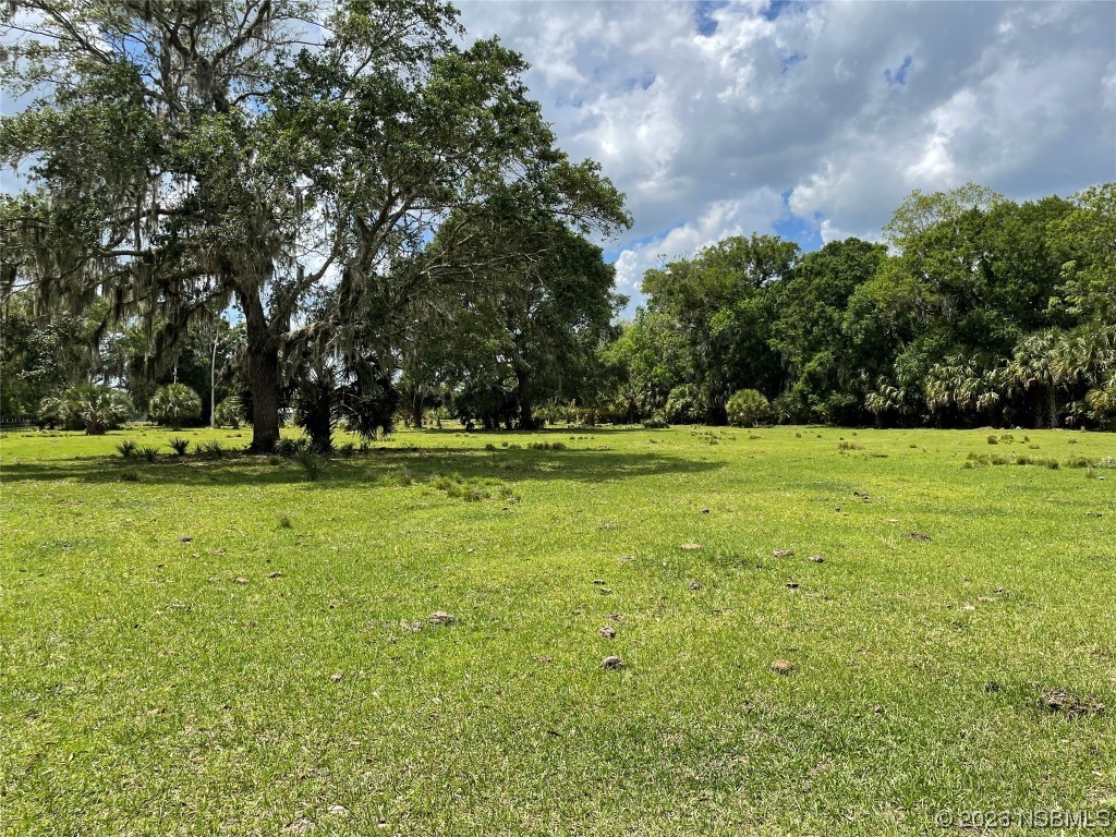 0 W Putnam Grove Road Oak Hill FL 32759 NS1074356 image1