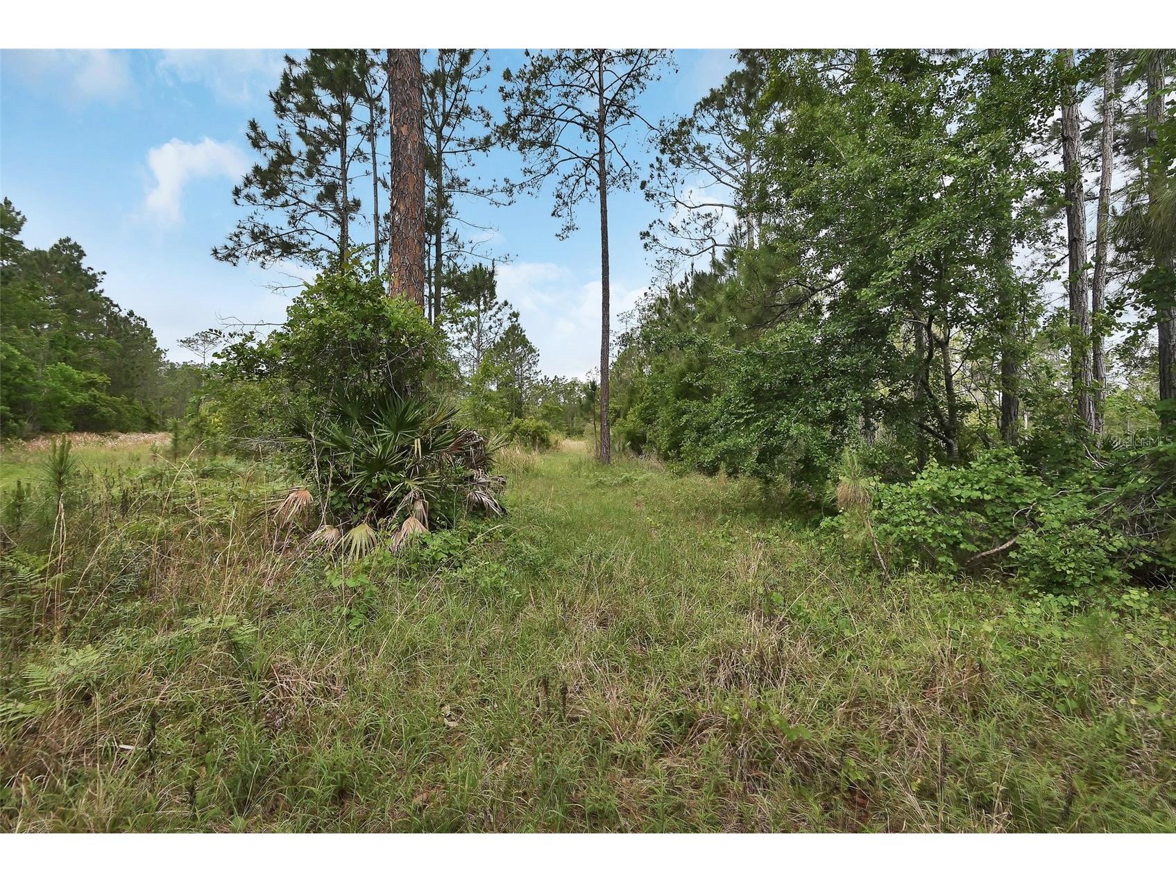 0 W Sr 40 Highway Ormond Beach FL 32174 V4948662 image10