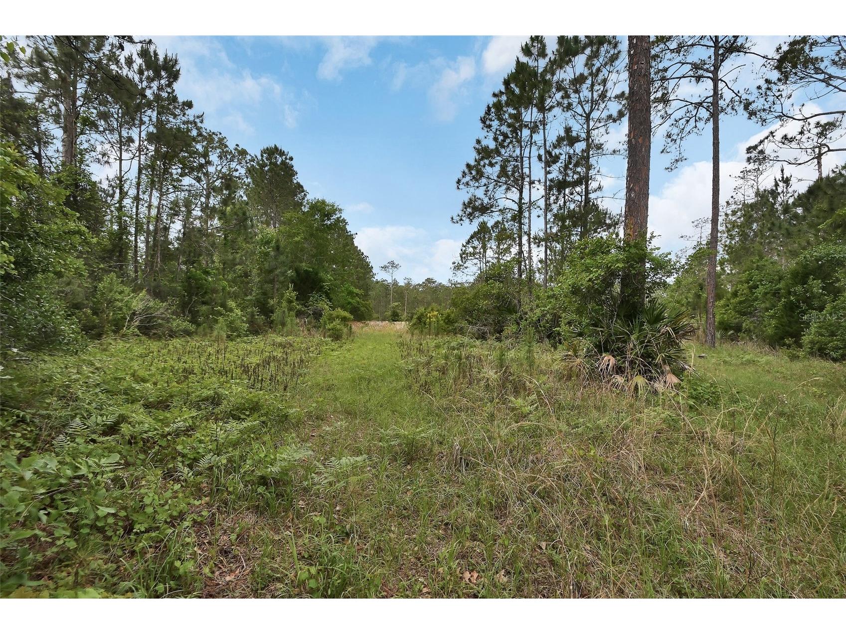 0 W Sr 40 Highway Ormond Beach FL 32174 V4948662 image9