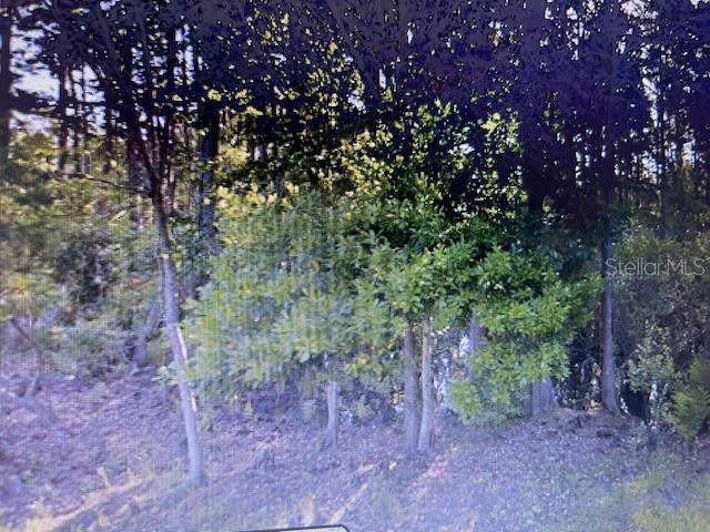 0 Wabayo Street New Port Richey FL 34654 TB8352174 image1