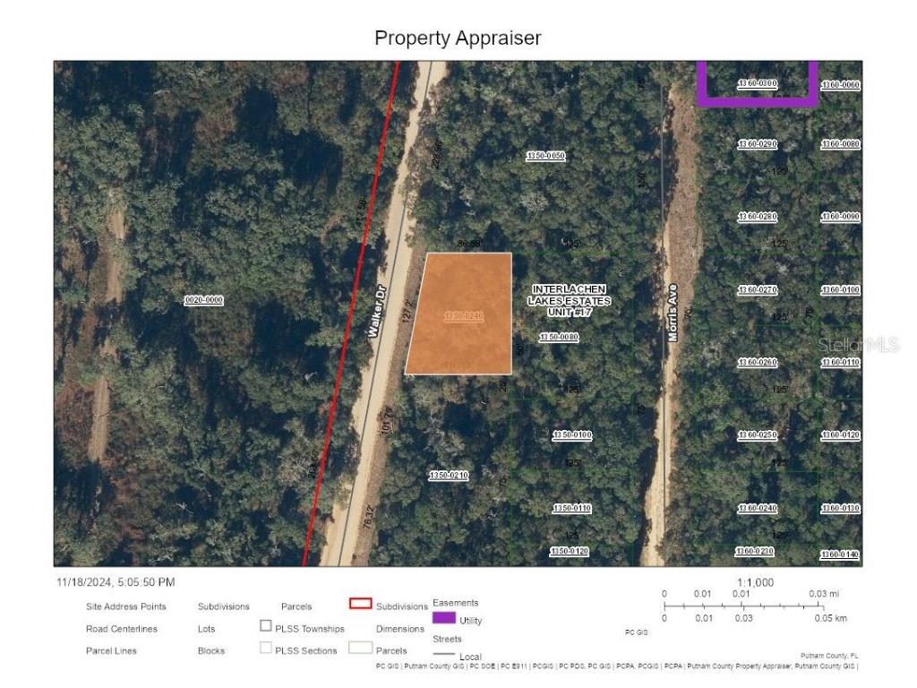 0 Walker Drive Interlachen FL 32148 A4629689 image1