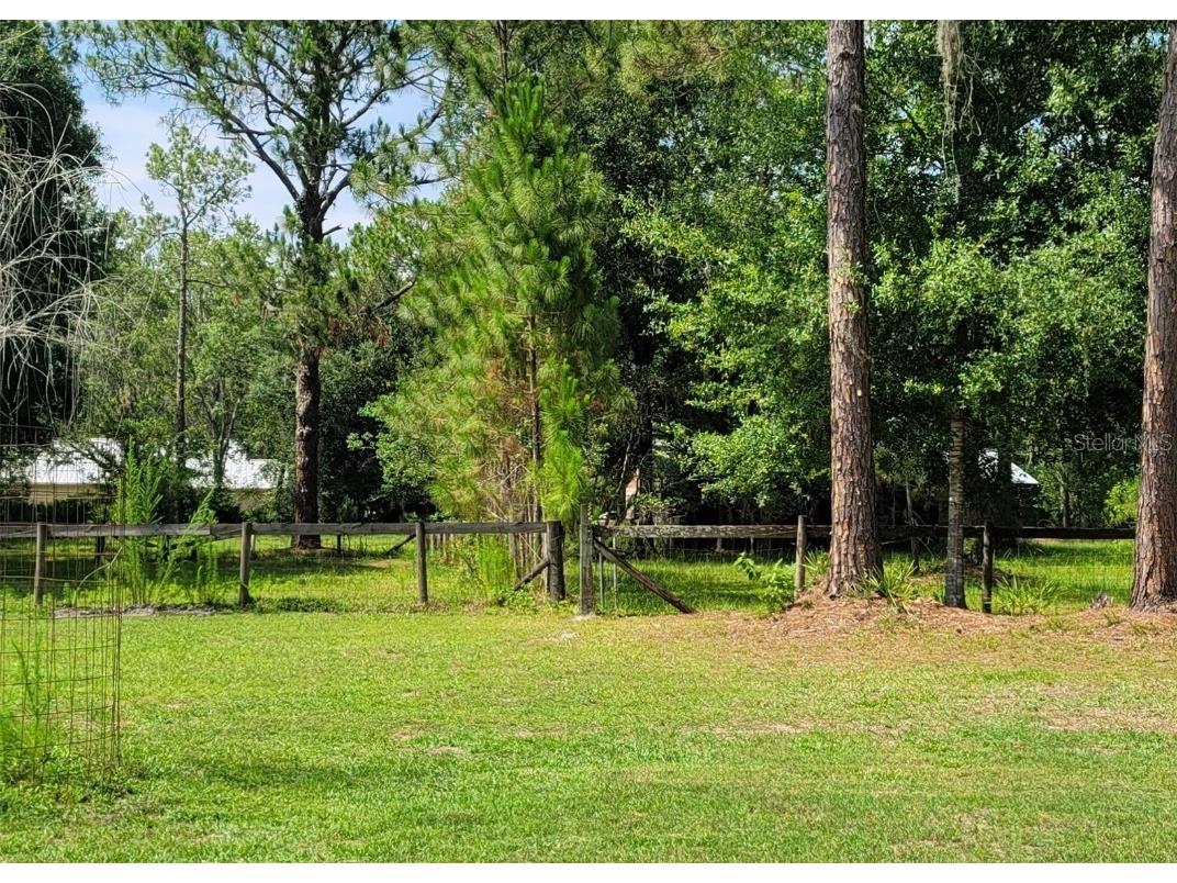 0 Walker Drive Wesley Chapel FL 33544 T3448873 image1