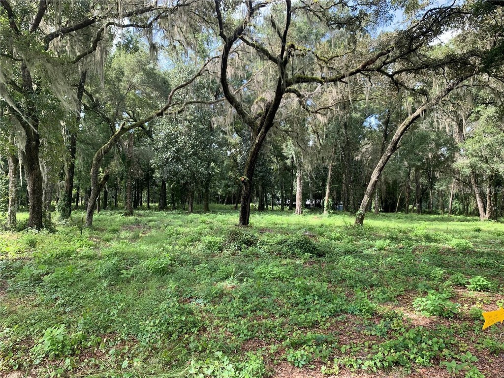 0 Wc 48 Bushnell FL 33513 TB8346750 image1
