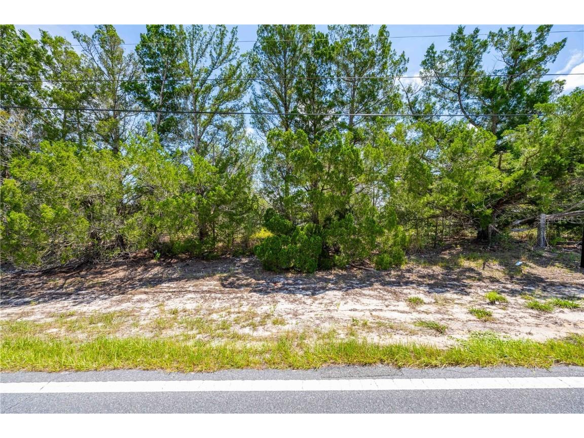 0 Weeping Willow Street Brooksville FL 34613 TB8427275 image13