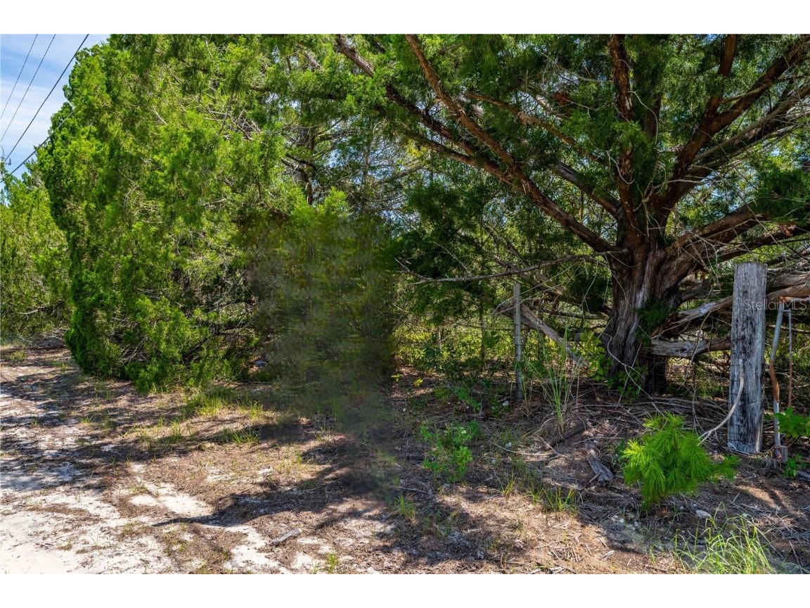 0 Weeping Willow Street Brooksville FL 34613 TB8427275 image3