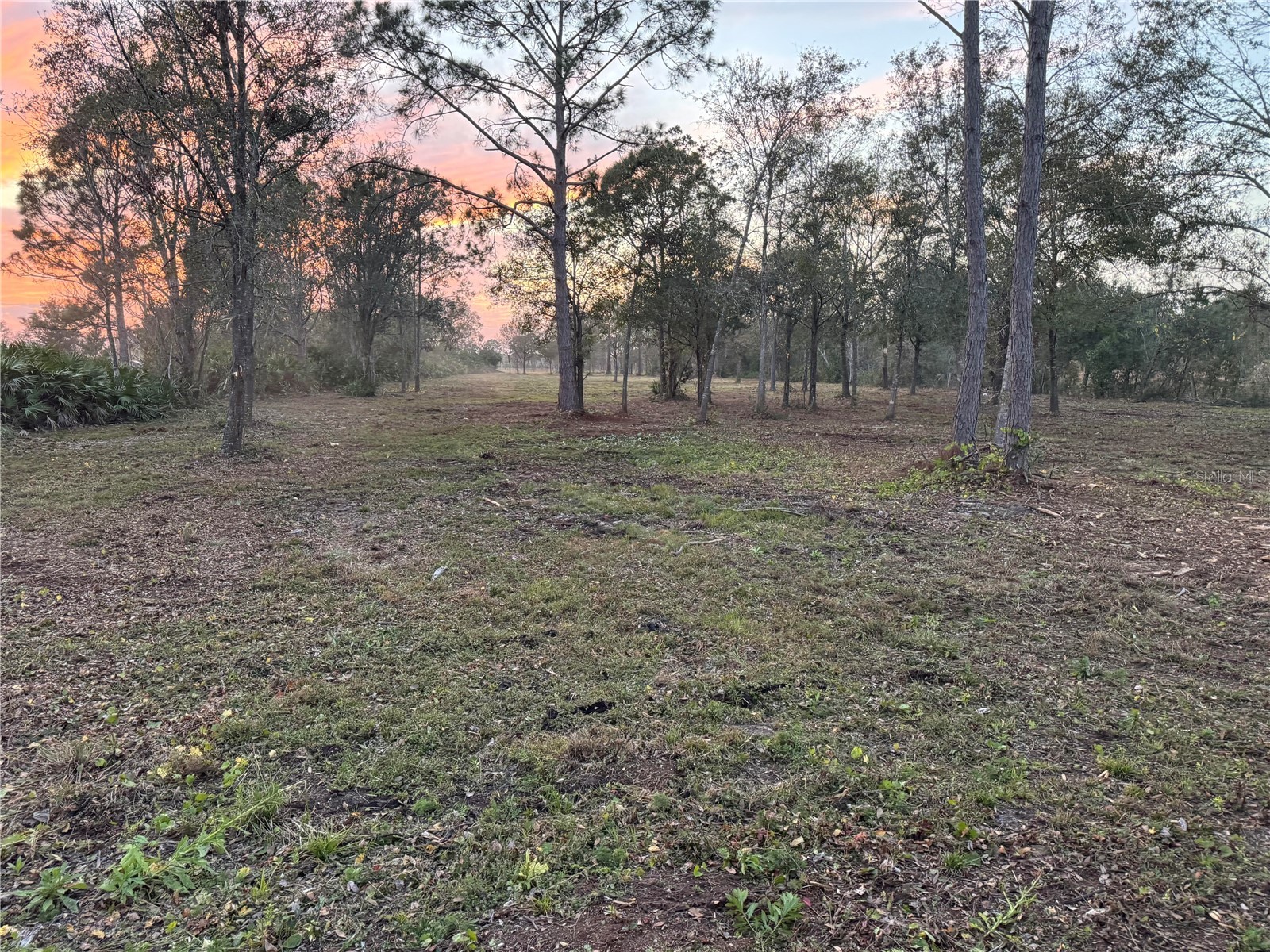 0 West Frostproof Road Frostproof FL 33843 K4903470 image1
