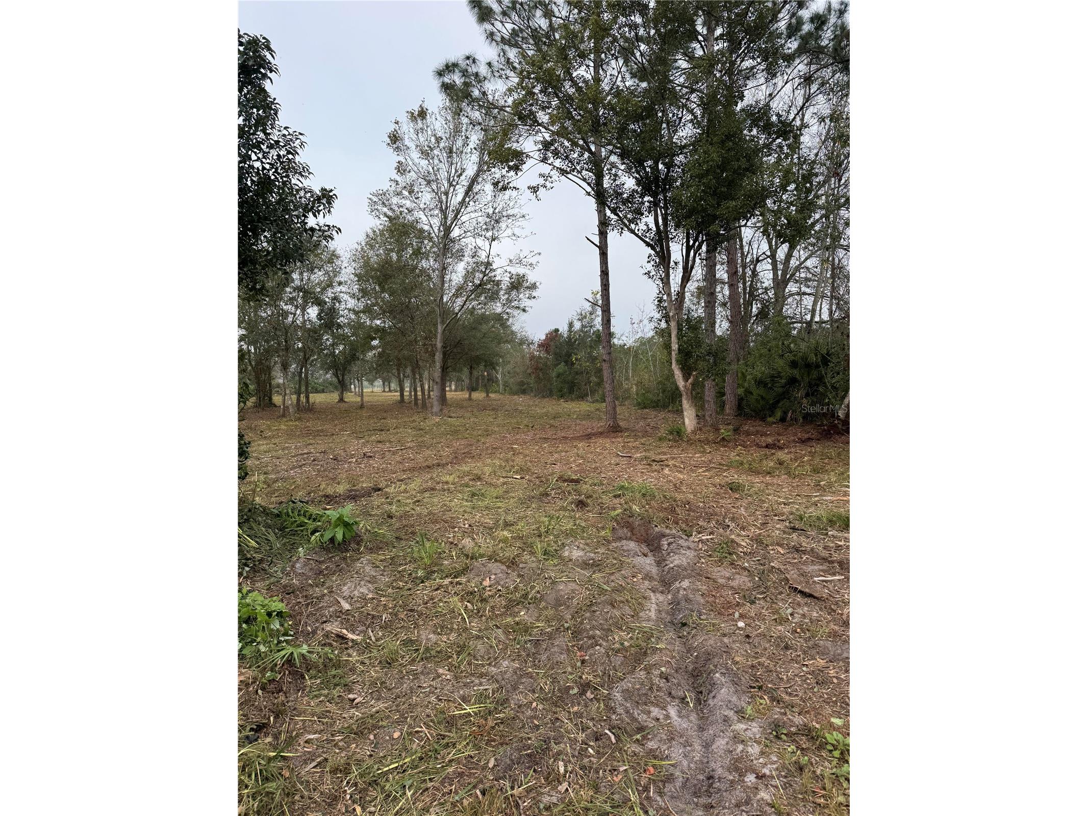 0 West Frostproof Road Frostproof FL 33843 K4903470 image3
