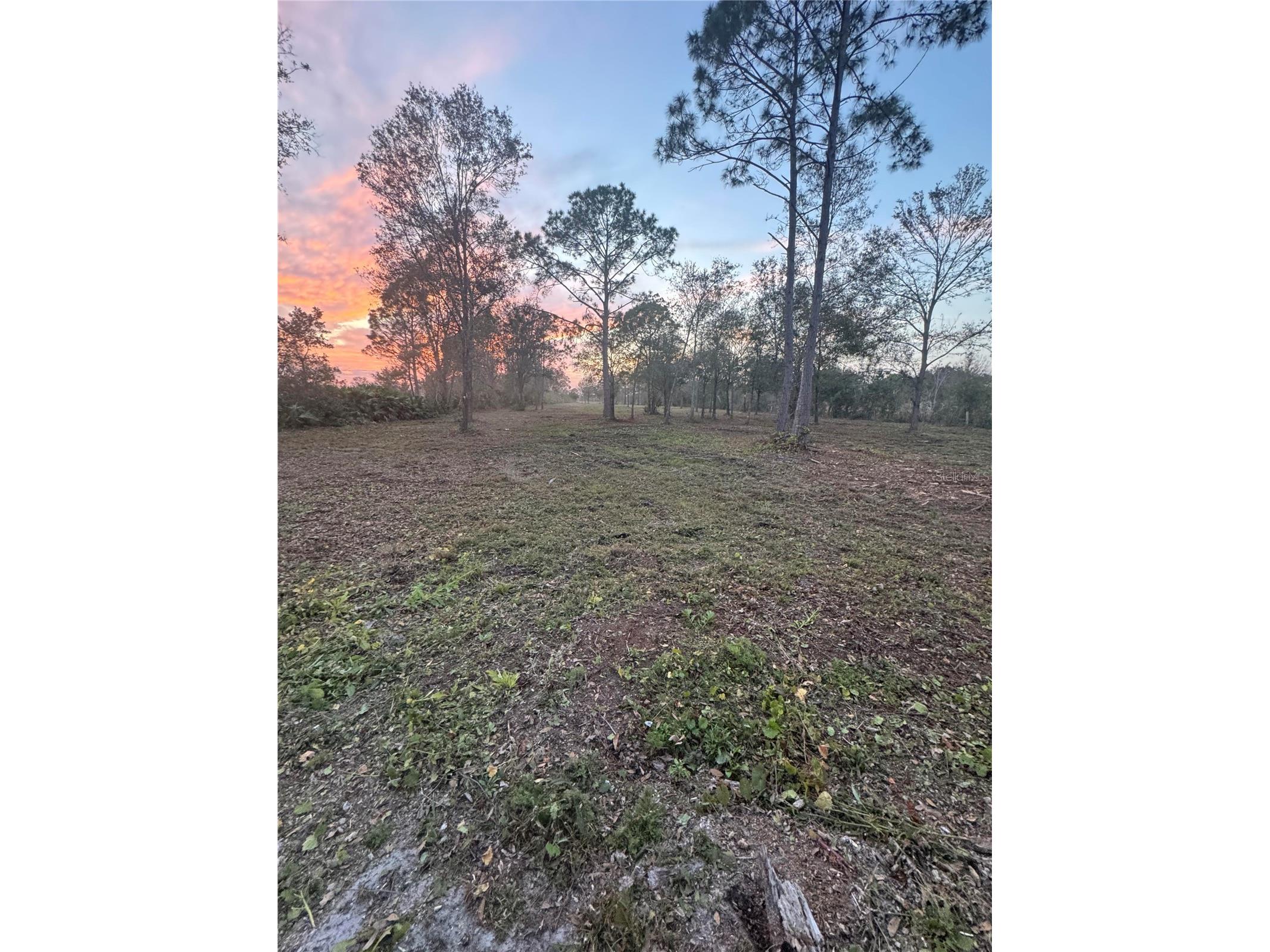 0 West Frostproof Road Frostproof FL 33843 K4903470 image4