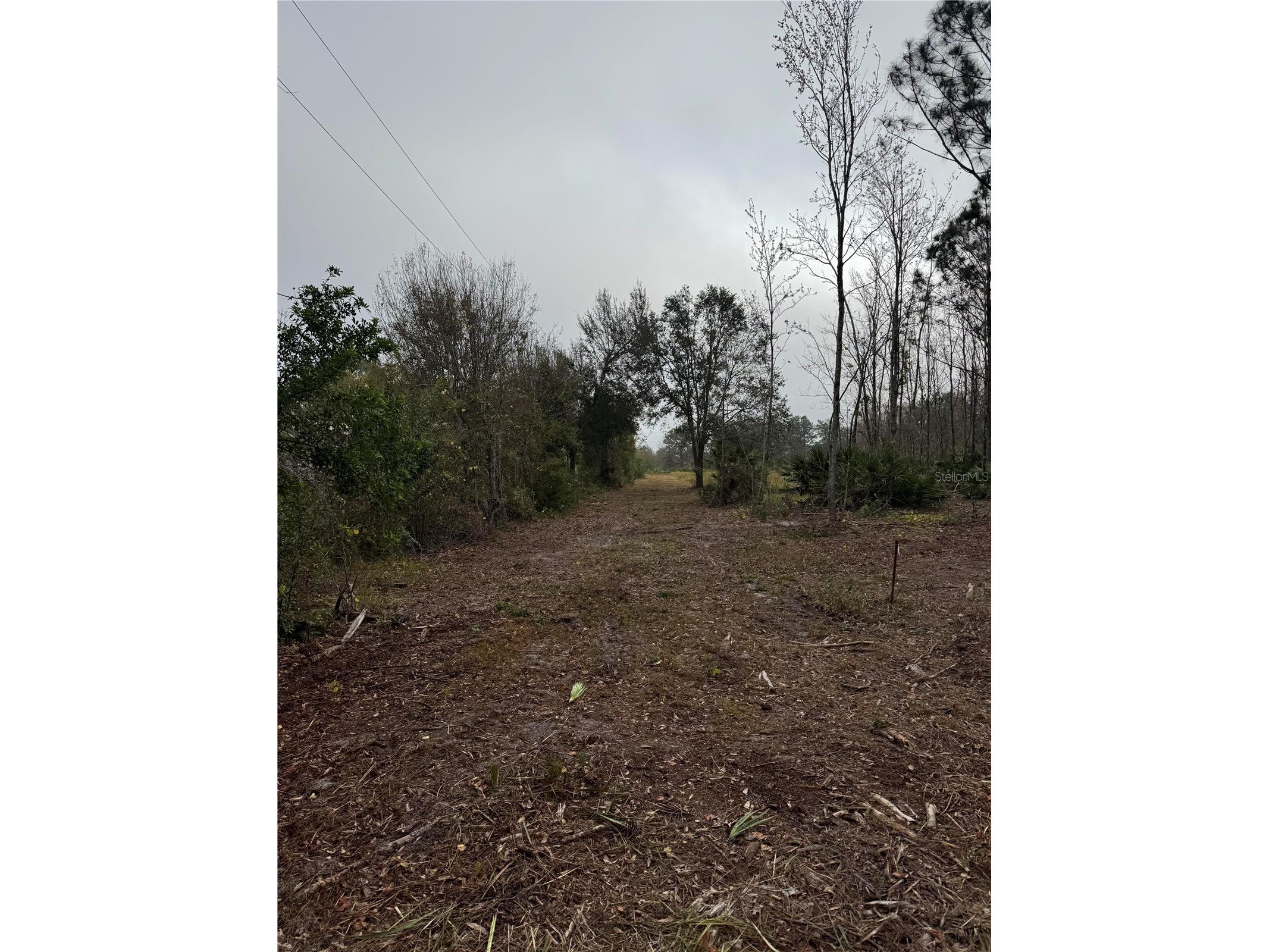 0 West Frostproof Road Frostproof FL 33843 K4903470 image6