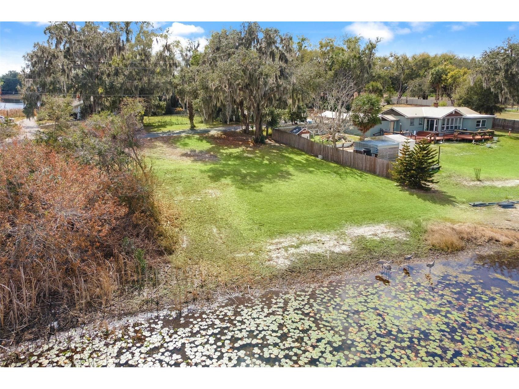 0 Wilson Parrish Road Umatilla FL 32784 - Ella G5108654 image10
