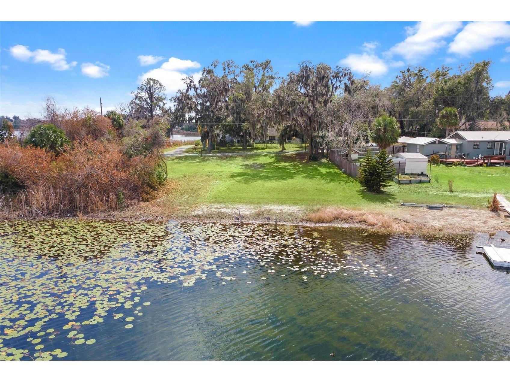 0 Wilson Parrish Road Umatilla FL 32784 - Ella G5108654 image11