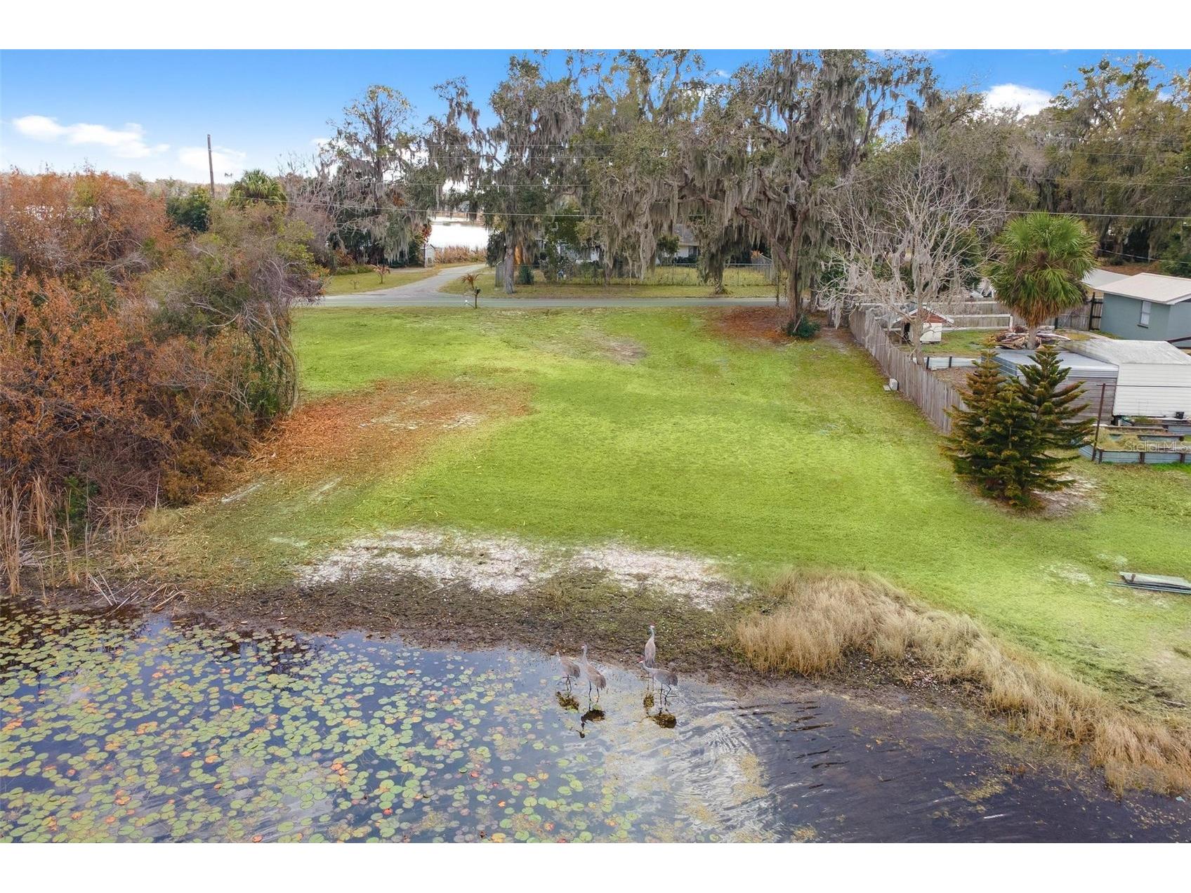 0 Wilson Parrish Road Umatilla FL 32784 - Ella G5108654 image8