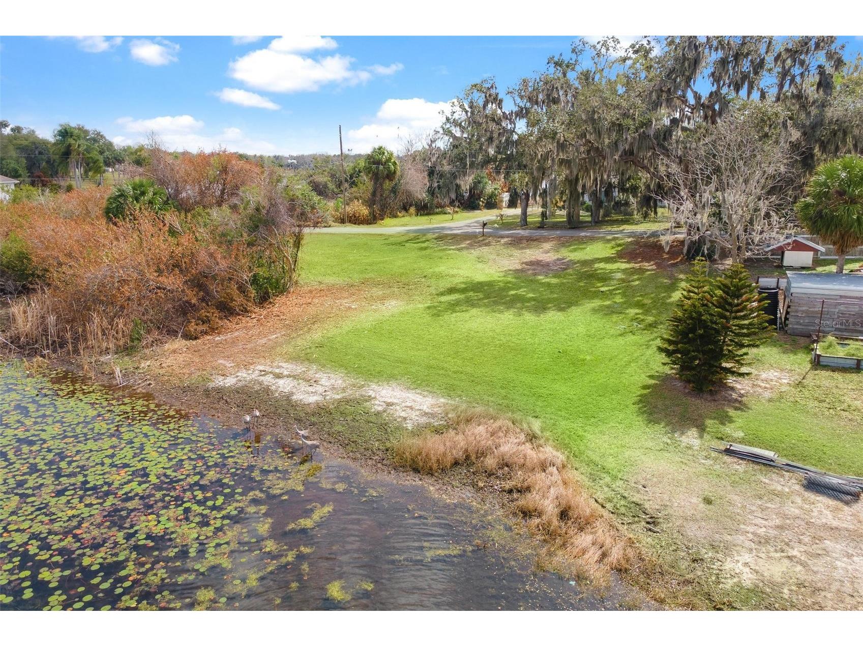 0 Wilson Parrish Road Umatilla FL 32784 - Ella G5108654 image9